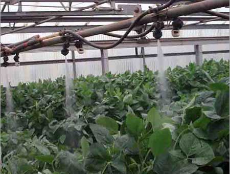 Irrigation & Fertigation Systems Sashanka Agro